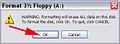Accept-the-warning-when-formating-disk.jpg
